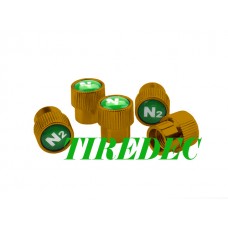 Golden Tire Valve Caps with N2 Logo, 200pcs